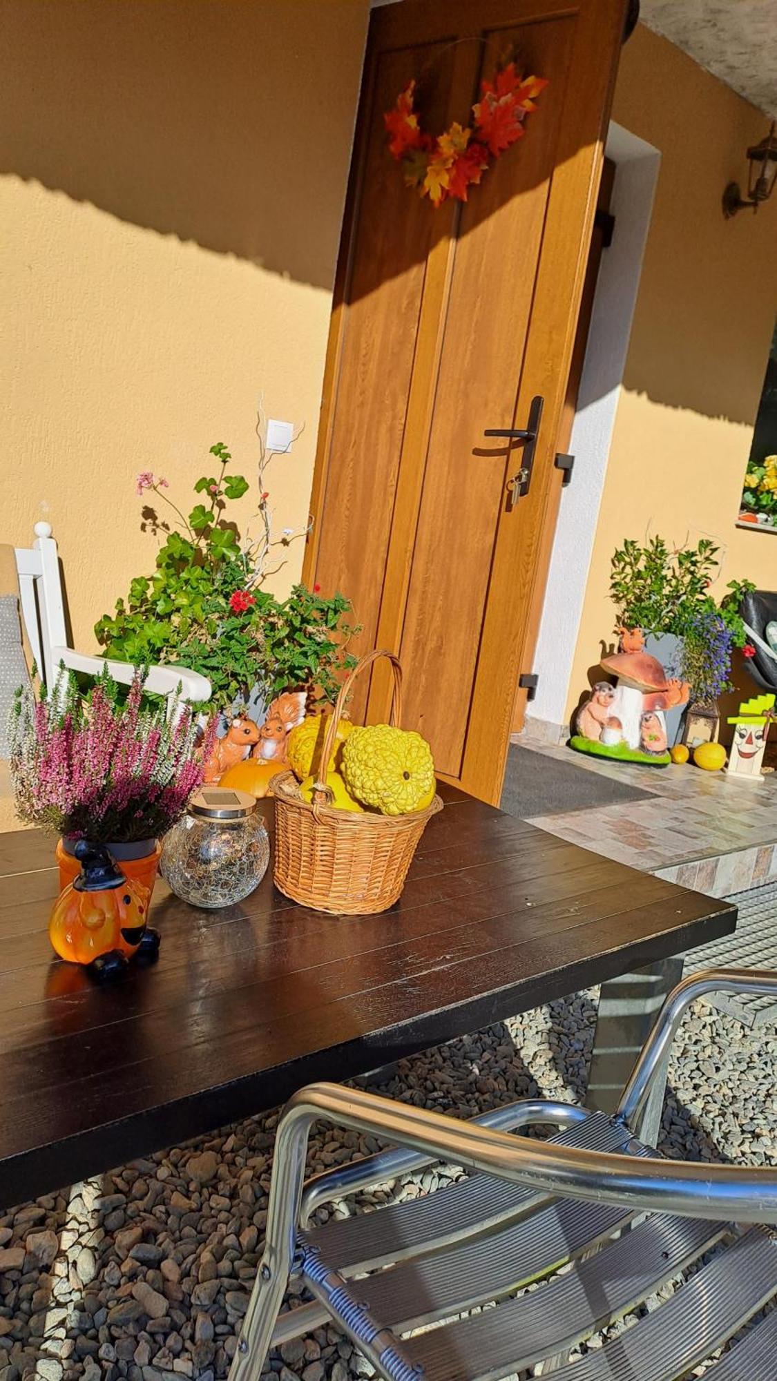 Cîrţişoara Vis Implinit酒店 外观 照片